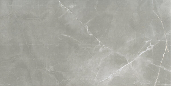 Wall tile / floor tile Cerim TIMELESS AMANI GREY