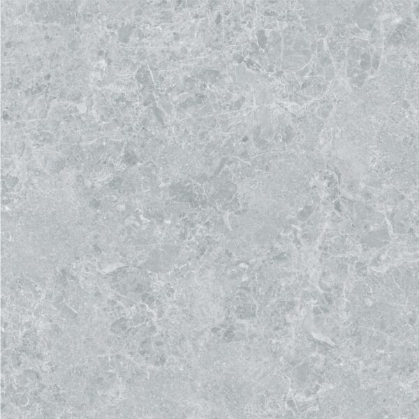 Sienas flīze/grīdas flīze CHARISMA, 100x100, Grey, STN Ceramica - Image 1