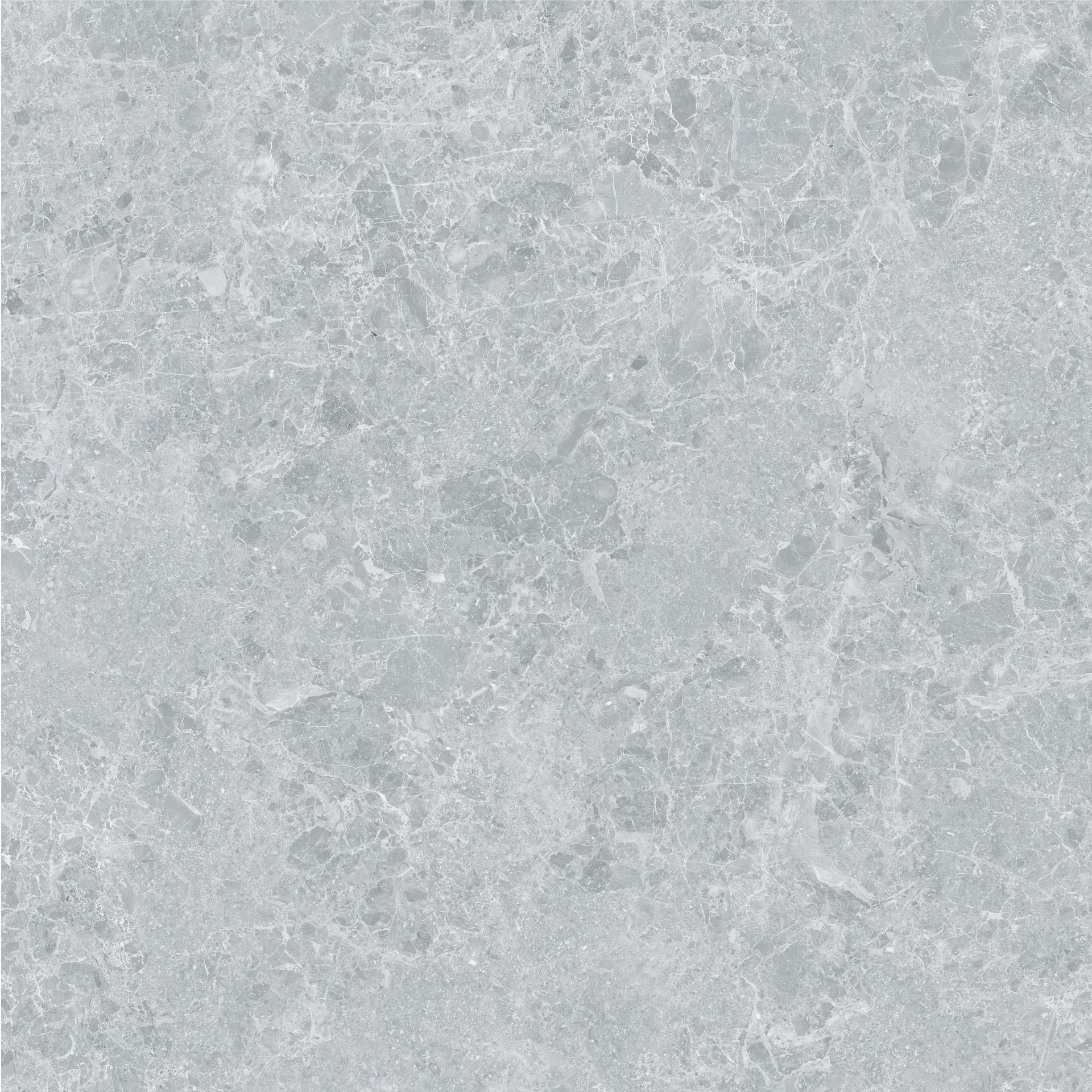 CAM7CHASDDAA Sienas flīze/grīdas flīze CHARISMA, 100x100, Grey, STN Ceramica - Image 1