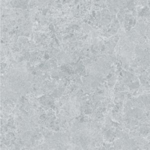Sienas flīze/grīdas flīze CHARISMA, 100x100, Grey, STN Ceramica